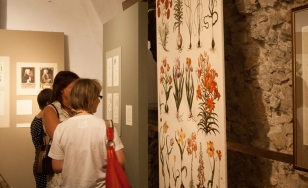 Zdjęcie przedstawia uczestników wystawy na tle ekspozycji - kompozycji kwiatowo-roślinnych.