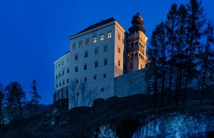 nocny widok zamku na skale, oświetlone okna