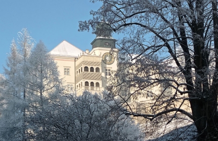 zimowy widok zamku