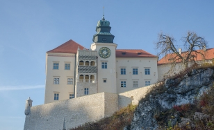 Zdjęcie przedstawia Zamek w Pieskowej Skale z podnóża wzgórza.