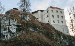 Zdjęcie przedstawia Zamek w Pieskowej Skale z podnóża wzgórza.