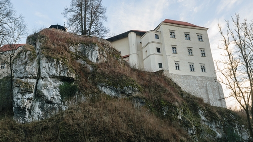 Zdjęcie przedstawia wapienną, białą skałę porośniętą brunatną roślinnością, w tle znajduje się ściana zamku z kolumną.
