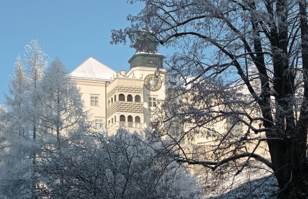 zimowy widok zamku