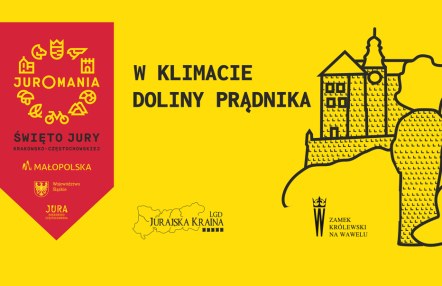 infografika
