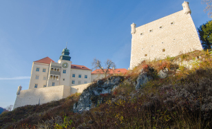 Zdjęcie przedstawia Zamek w Pieskowej Skale z podnóża wzgórza.
